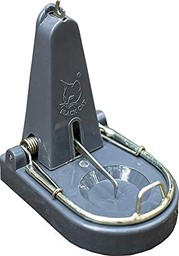 Show details for Rat Trap Picture of Rat Trap
